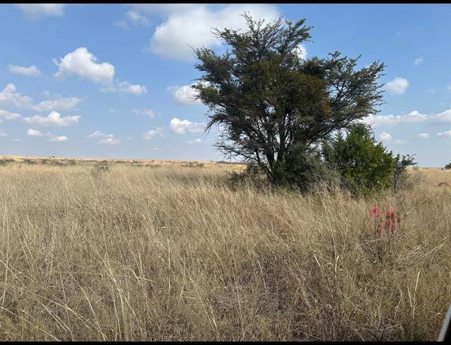 476HA FARM FOR SALE IN LICHTENBURG RURAL